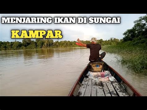 MENJARING IKAN DI TENGAH DERASNYA SUNGAI KAMPAR YouTube