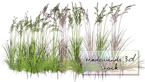 Tw3d Summer Grass By Tw3dstock On Deviantart