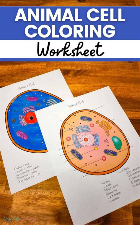 Animal Cell Coloring Worksheet Worksheets Library