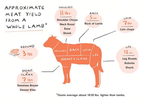 Cuts Of Lamb And How To Cook Them Good Meat Breakdown