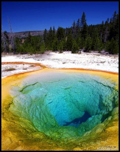 Morning Glory Pool In Yellowstone Park 14 Pics