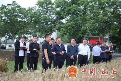 田庆杰在调研指导“三夏”生产工作时强调 坚决扛稳粮食安全重任 确保夏粮颗粒归仓秋粮种足种满 沈丘县人民政府