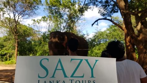 Sazy Lanka Tours Private Tour Operator In Colombo Sri Lanka Tourhq