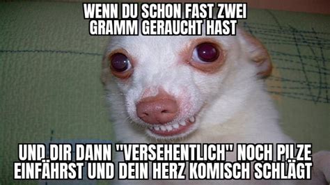 Und Deine Eltern Dann Fragen Warum Du Heute So Komisch Bist 9GAG