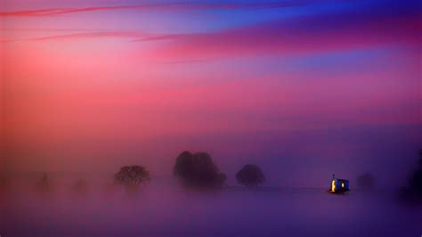 Photography of Trees Covered with Fog · Free Stock Photo