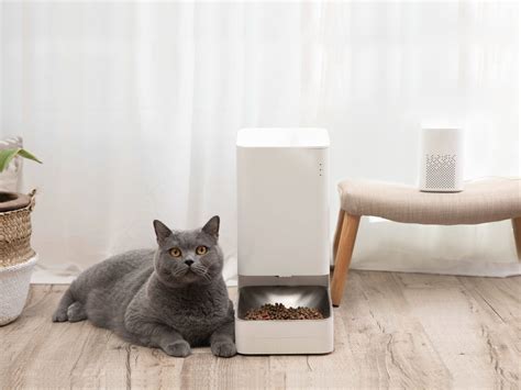 Xiaomi Smart Pet Food Feeder E Fountain Ufficiali In Italia