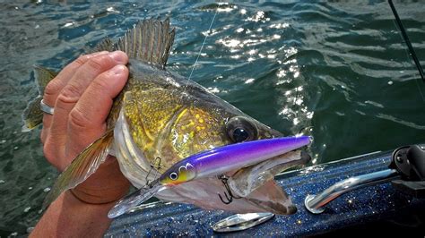 Trolling Crankbaits For Big Mille Lacs Walleyes In Depth Outdoors