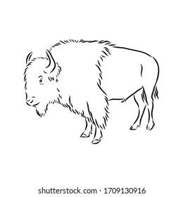 Bison Outline Images, Stock Photos & Vectors | Shutterstock