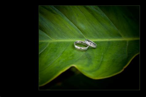 Barbados destination wedding - Marconi Photography