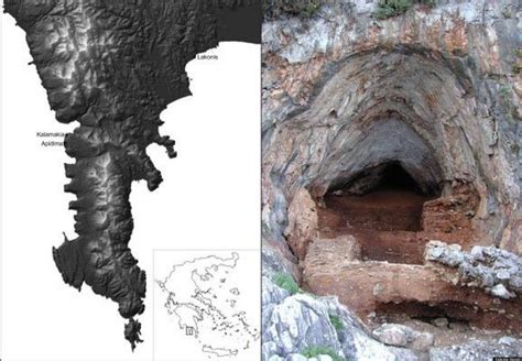 Fossils: Neanderthal Fossils