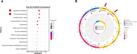 Frontiers Identification Of Candidate Genes For Soybean Seed Coat