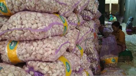 Impor Bawang Putih Juta Ton Ditjen Hortikultura Kementan Terbitkan