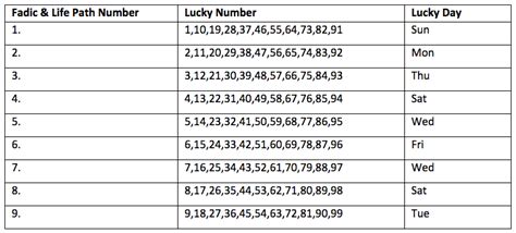 Numerology & Your Lucky Lottery Number | by CrowdLotto Inc ...