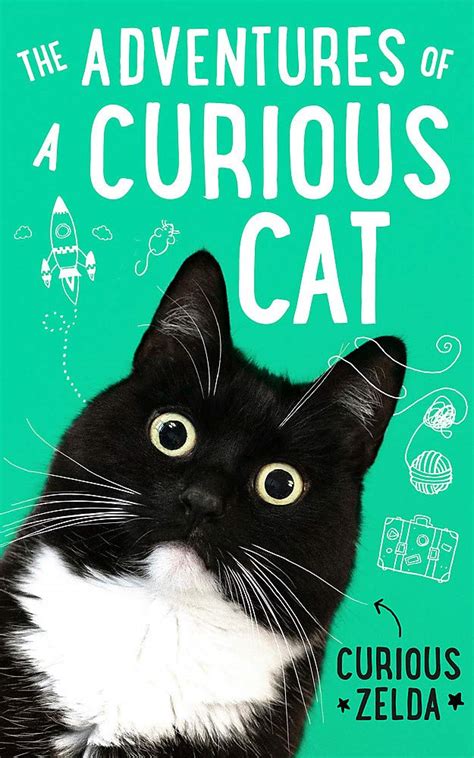 The best cat books