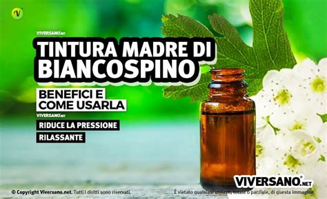 Tintura Madre Di Biancospino In Gocce A Cosa Serve Uso E Dosi