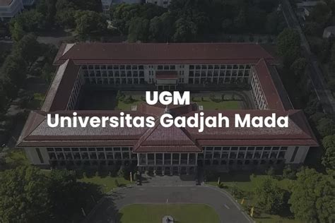 Rekomendasi 5 Universitas Terbaik Untuk Jurusan Bisnis Dan Manajemen