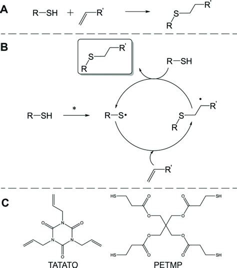 Thiolene Click Reaction And Chemical Structures A Idealized