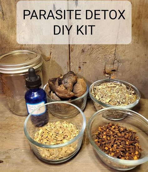 Parasite Detox Diy Kit Parasite Cleanse Parasite Detox Kill