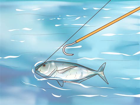 How To Catch Kingfish With Pictures Wikihow