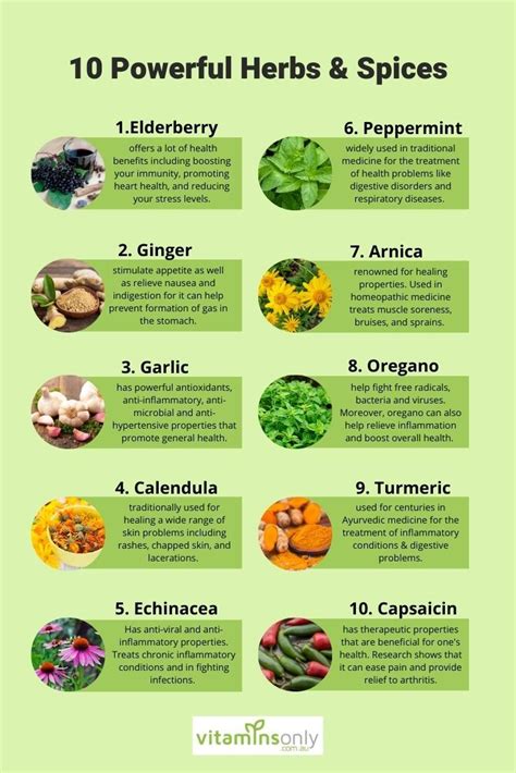 10 powerful herbs and spices – Artofit