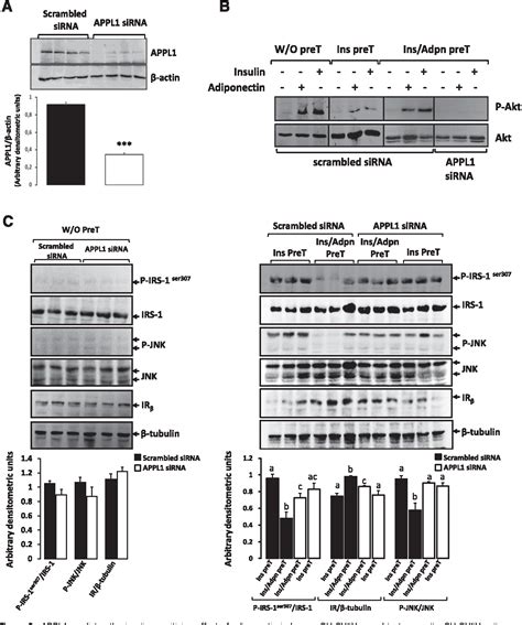 Figure From Central Resistin Tlr Impairs Adiponectin Signaling