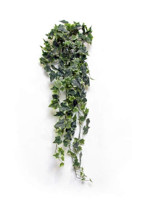 Cespuglio Di Mini Edera Artificiale Variegata 191 Foglie 86 Cm Verdevip