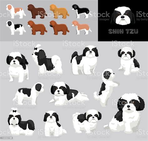 Dog Shih Tzu Black Coat Cartoon Vector Illustration Color Variation Set