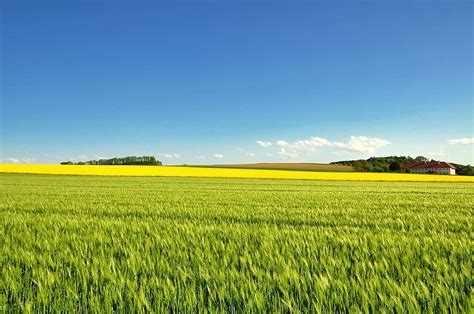 HD wallpaper: field, agriculture, farm, landscape, panorama, nature, green landscape | Wallpaper ...