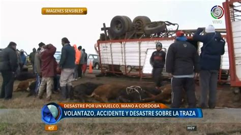 Volc Un Cami N Con Ganado Y Los Vecinos Faenaron Terneros En Plena Ruta