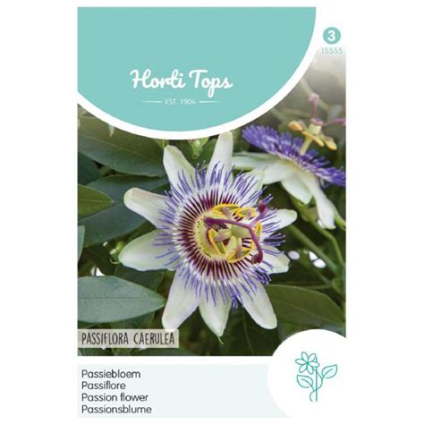 Blue Passion - Flower seeds - Passiflora • Tuinzaden.eu