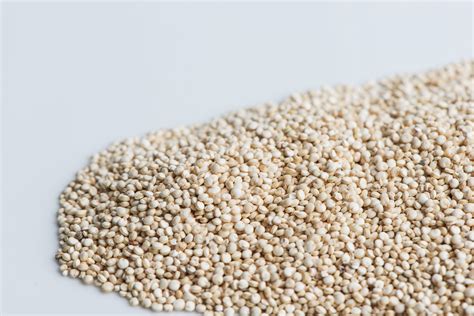 Quinoa - Mumm's Sprouting Seeds