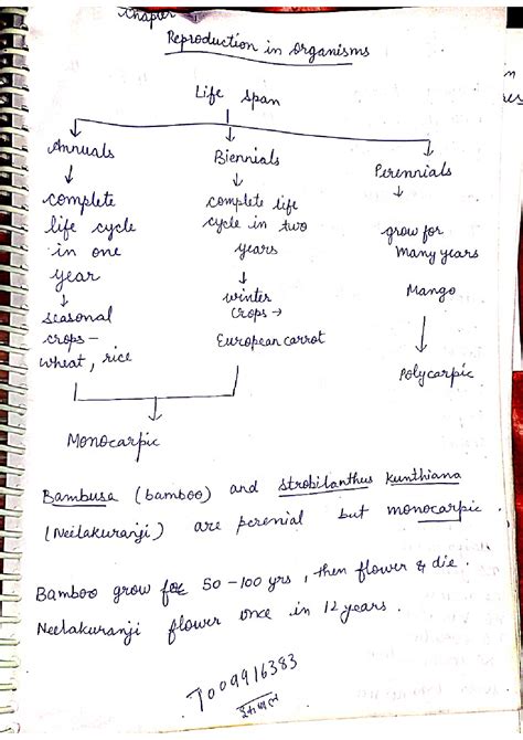 SOLUTION Reproduction In Organism Handwritten Notes Studypool