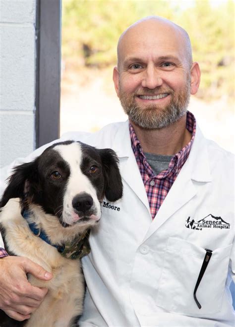 Veterinarian In Seneca Sc 29678 Seneca Animal Hospital