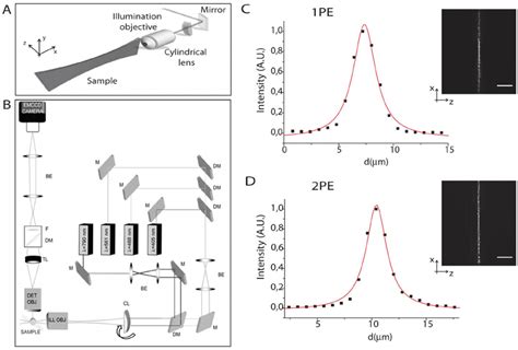 Schematic Representation Of The SPIM Illumination Geometry 1A