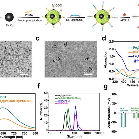 Characterization Of Imaging Probes A The Synthesis Procedure Of