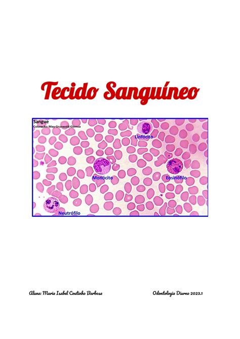 SOLUTION Histologia do tecido sanguíneo Studypool