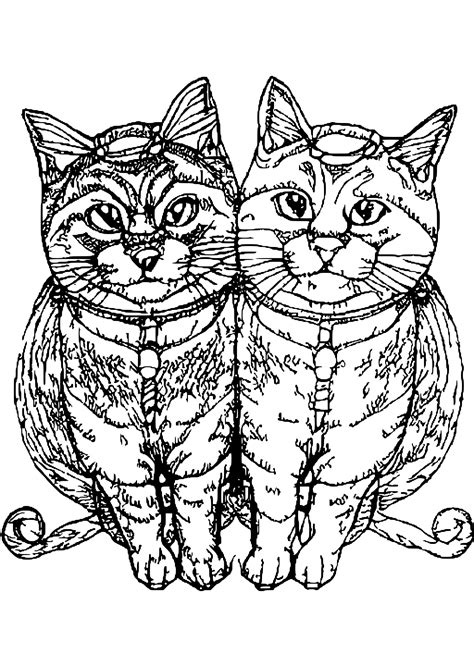 Witch Cats Coloring Page · Creative Fabrica