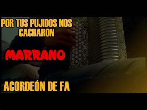 Por Tus Pujidos Nos Cacharon Acordeón de Sol Grupo Marrano YouTube