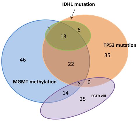 Venn Diagram Made From 238 GBM Cases With IDH1 TP53 MGMT Methylation