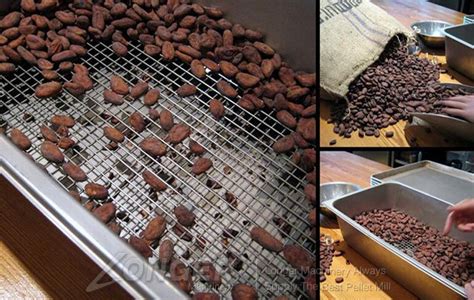 Cocoa Beans Roasting Machine|Continuous Roaster With Conveyo