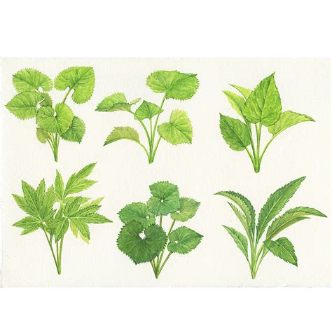 okArt(okArt)_12 - 사이언스 노트 Science Note