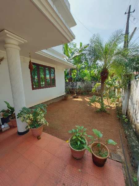 4 BHK House 2100 Sq Ft For Sale In Nadathara Thrissur REI1028347