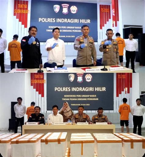 Polres Inhil Gagalkan Penyelundupan Ribu Baby Lobster Senilai