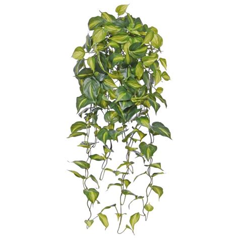 Philodendron Scandens Brasil Kunst Hangplant Cm Maxifleur Kunstplanten