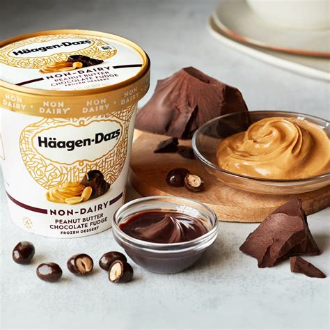 Häagen-Dazs Non-Dairy Rolls Out to Retailers Nationwide