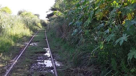 Acondicionan las vías del tren que une Paraná con Colonia Avellaneda