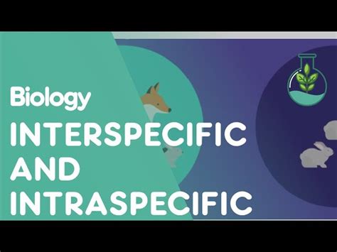 Interspecific and Intraspecific interactions - English ESL video lesson