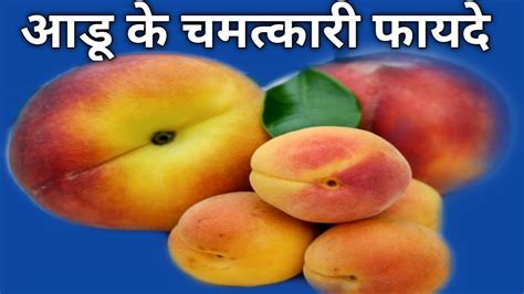 Top 10 Surprising Health Benefits Of Peaches आडू के फायदे Superfood