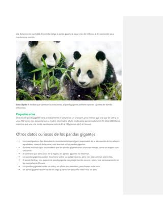 Panda Gigante PDF