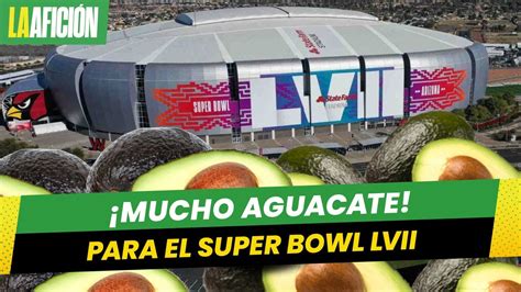 Aguacate El Otro Protagonista Del Super Bowl Cu Ntas Toneladas